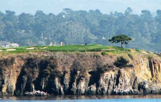 Pebble Beach Estate for sale and rent